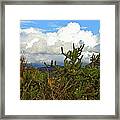 Desert Hill Country Framed Print