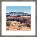 Desert In New Mexico Framed Print