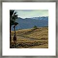 Desert Palm Giraffe 001 Framed Print
