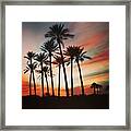 Desert Palms Sunset Framed Print