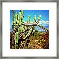 Desert Plants - Westward Ho Framed Print