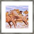 Desert Run Framed Print