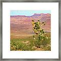 Desert Scene Near Grand Canyon West Framed Print