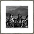 Detroit Lake, Oregon Framed Print