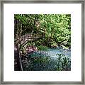 Devil's Millhopper Gainesville Fl Ii Framed Print