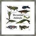 Devonian Animals Framed Print