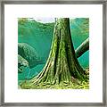 Devonian Mural Framed Print