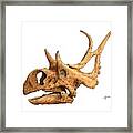 Diabloceratops Framed Print