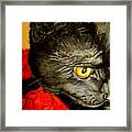 Diego The Cat Framed Print