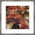 Different Dimensions Framed Print