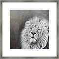 Dignity Framed Print