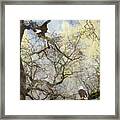 Dining In The Canopy Framed Print