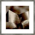 Disney Concert Hall Framed Print