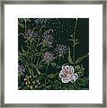 Ditchweed Fairy Wild Rose Framed Print