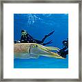 Divers On Underwater Scooters Framed Print
