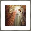 Divine Mercy, Sacred Heart Of Jesus 1 Framed Print