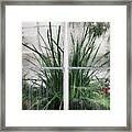 Does It Rain In The Conservatory? Framed Print