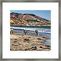 Dog Beach - Olde Port Beach Framed Print