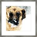 Dog Blizzard - German Shepherd Framed Print