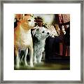 The Real Chiqui And Heichel Framed Print