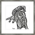 Dog Sketch In Charcoal 10 Framed Print