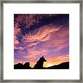 Dogs Dream Too Framed Print