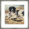 Dogs Watching Bathers Framed Print