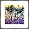 Dogwoods Redbuds And Lavender Framed Print