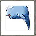 Dolphin Blue Framed Print