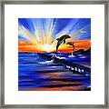 Dolphin Sunset Framed Print