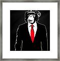 Domesticated Monkey Framed Print