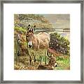 Donkey And Foal Framed Print