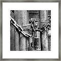 Don't Fence Me Out Framed Print