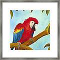 Dont Ruffle My Feathers Framed Print