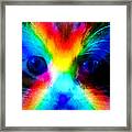 Double Rainbow Cat Framed Print
