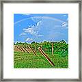 Double Rainbow Vineyard, Smith Mountain Lake Framed Print