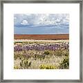 Dove Creek Fall Framed Print