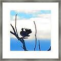 Dancing Dove Framed Print