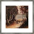 Down The Path Framed Print