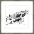 Dracorex Hogwartsia Skull Framed Print