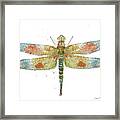 Dragonfly Bliss-jp3441 Framed Print