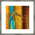 Dragonfly Blues Framed Print