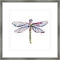 Dragonfly I Framed Print