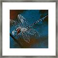 Dragonfly Framed Print