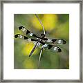 Dragonfly5 Framed Print