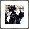 Dragons Pooolside Framed Print