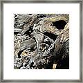Drawn Into The Wood No.8 Framed Print