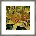 Dreaming Of Lilies Framed Print