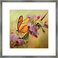 Dreaming Of Spring Framed Print