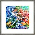 Dreaming With Hares Framed Print